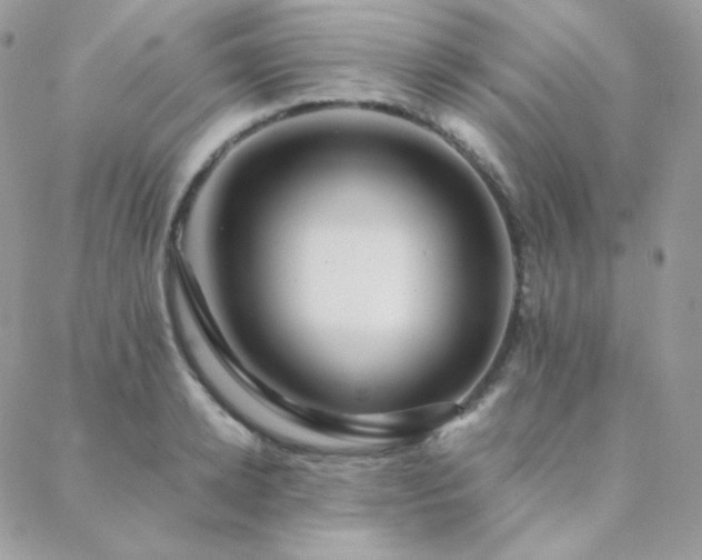 X0000088440942200705221309