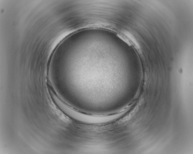 X0000088440948200705221309
