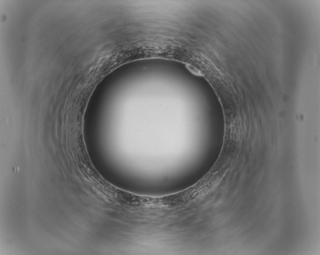 X0000088440961200705221308