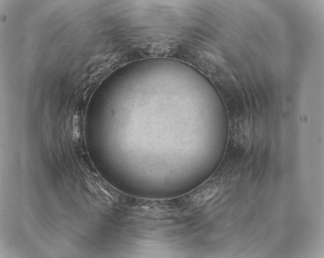 X0000088440962200705221308