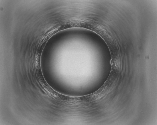 X0000088440964200705221308
