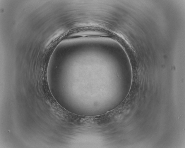 X0000088440967200705221308
