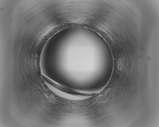 X0000088440968200705221308