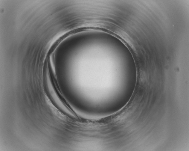 X0000088440980200705221308