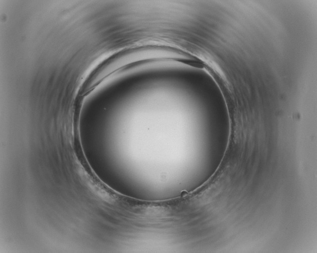X0000088440984200705221308