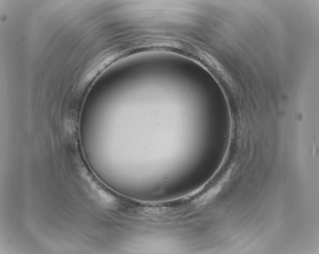 X0000088440985200705221308