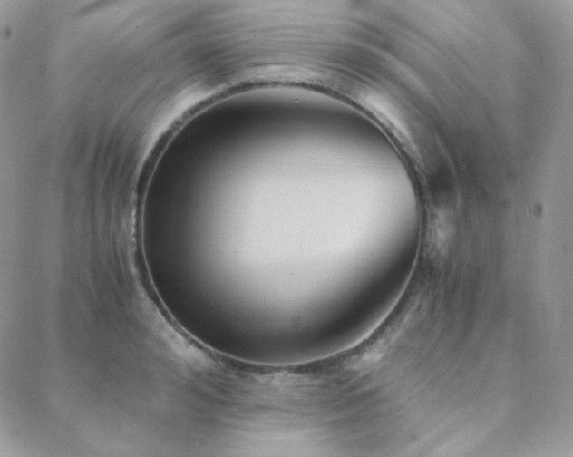 X0000088440992200705221308
