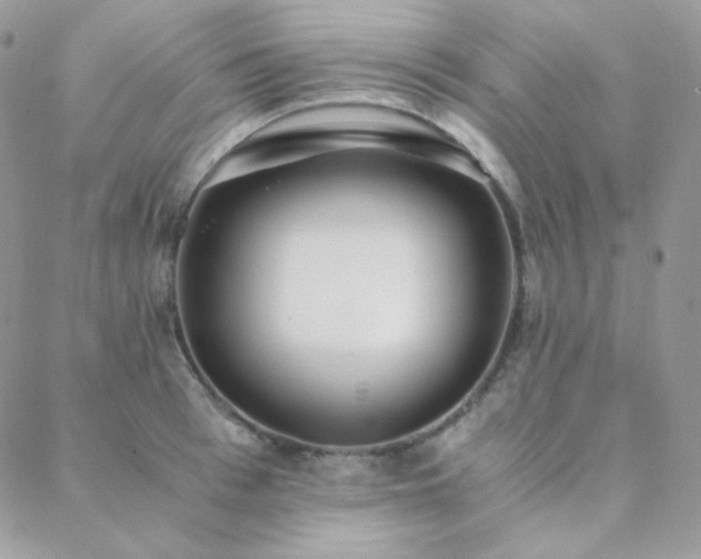 X0000088440993200705221308