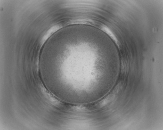 X0000088440994200705221308