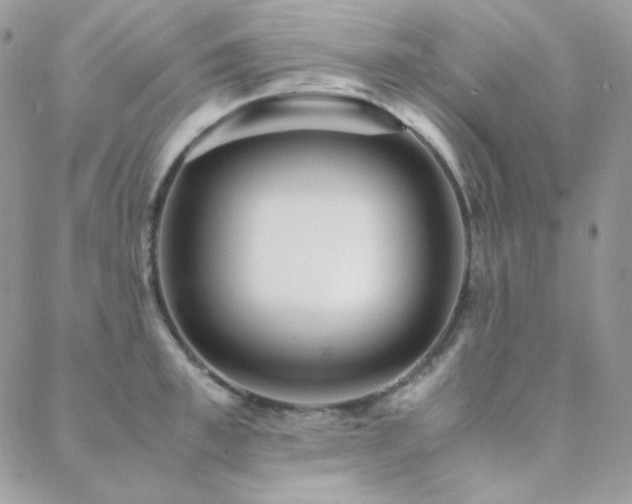 X0000088440997200705221308