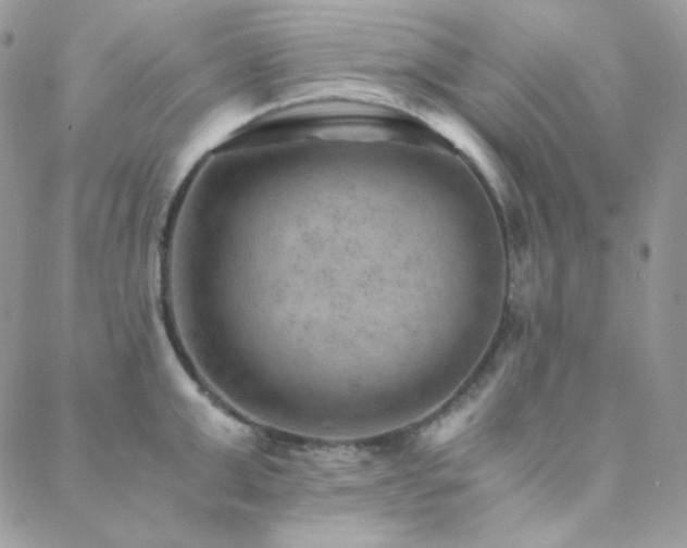 X0000088440999200705221308