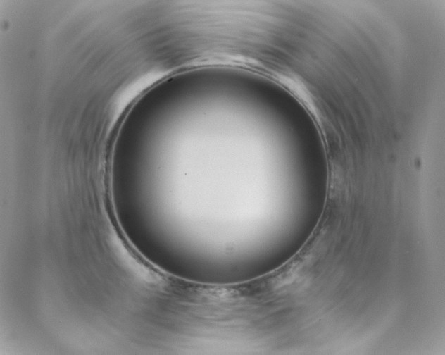 X0000088441003200705221308