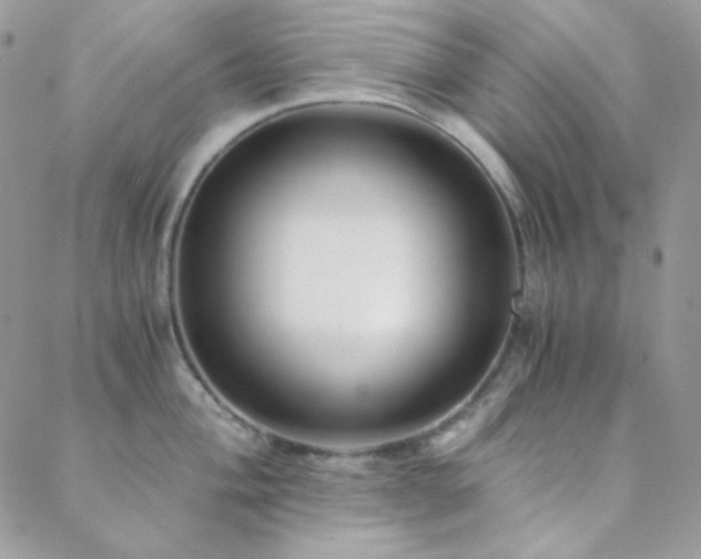 X0000088441004200705221308