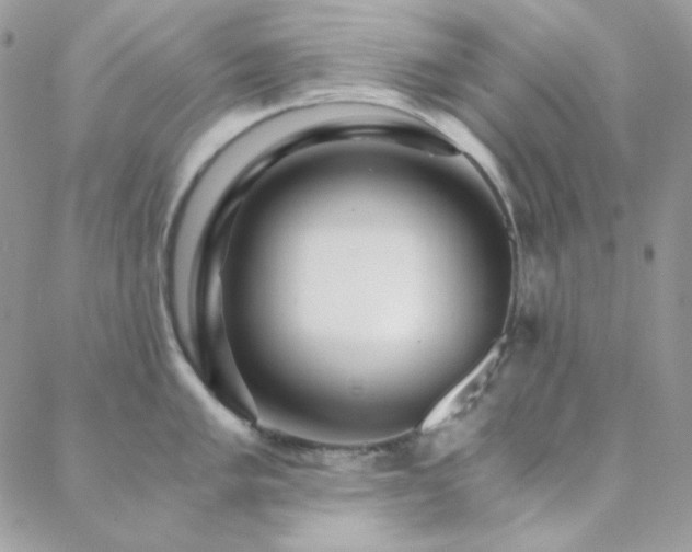 X0000088441005200705221308