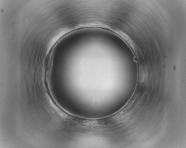 X0000088441006200705221308