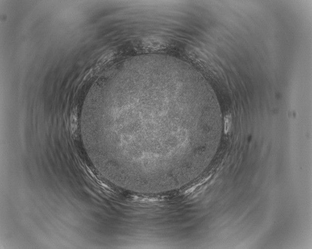 X0000088441011200705221307