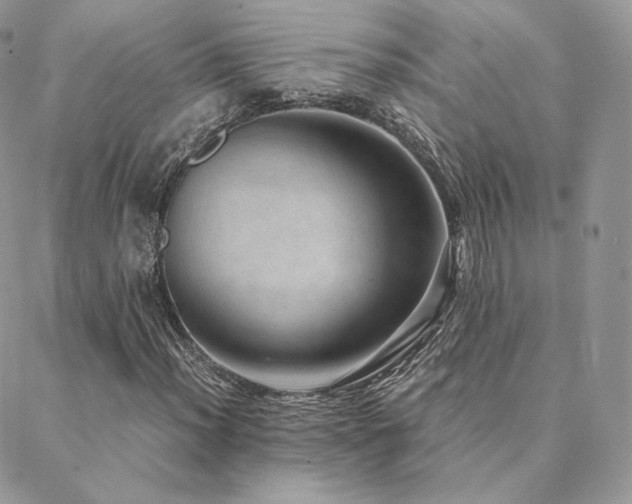 X0000088441012200705221307