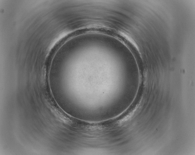 X0000088441021200705221307