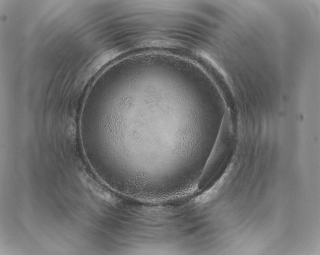 X0000088441025200705221307