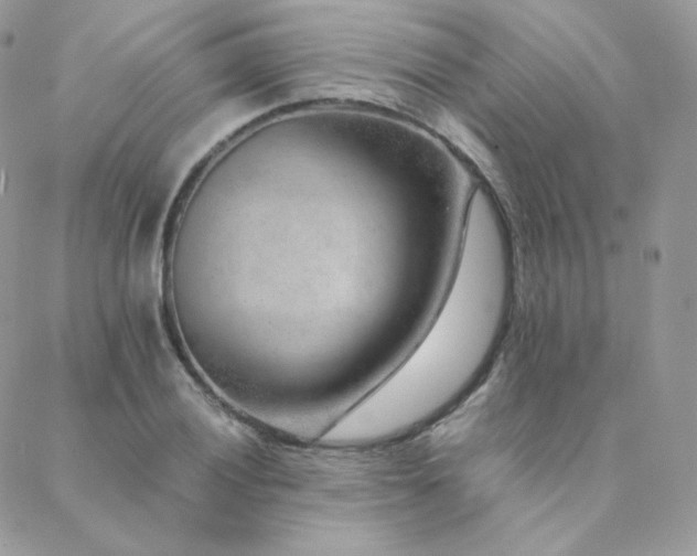 X0000088441028200705221307