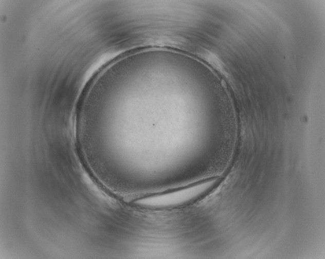 X0000088441032200705221307