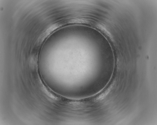 X0000088441033200705221307