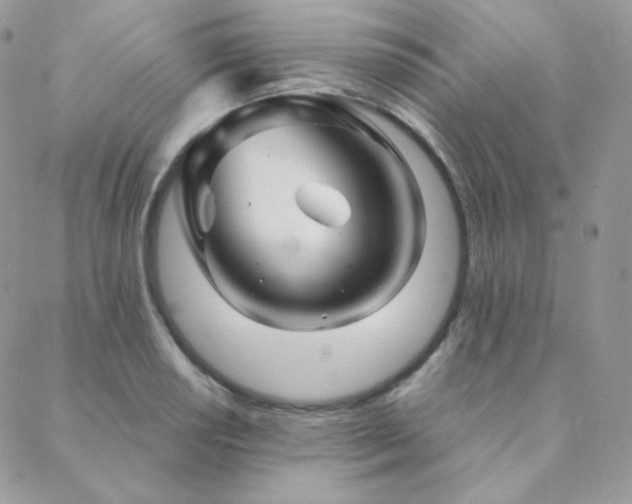 X0000088441034200705221307