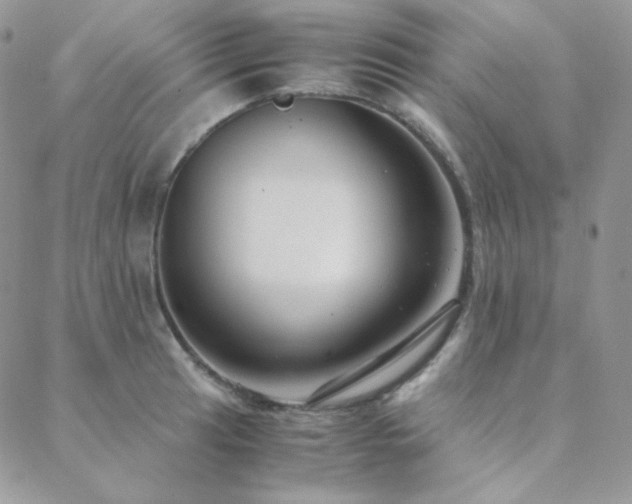 X0000088441041200705221307