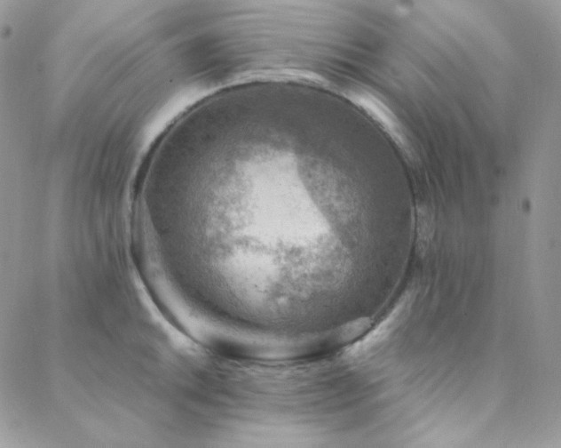 X0000088441046200705221307