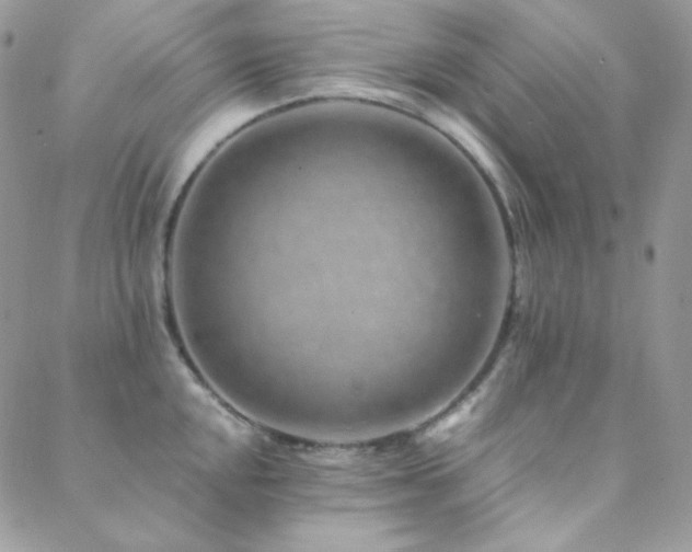 X0000088441048200705221307