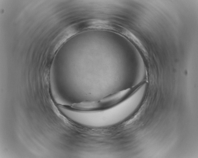 X0000088441049200705221307
