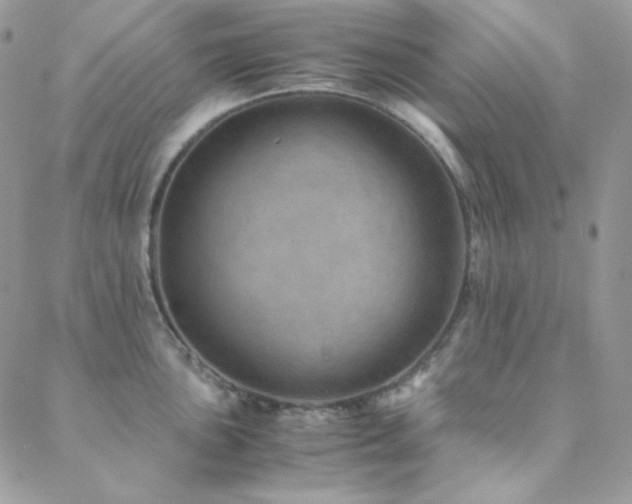 X0000088441051200705221307