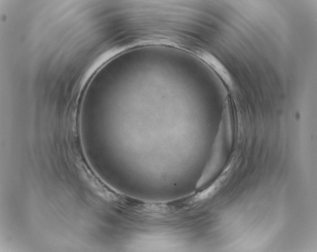 X0000088441052200705221307