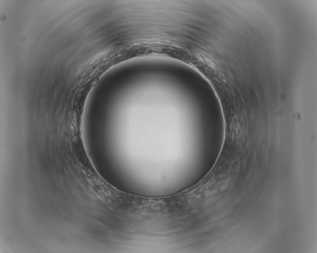 X0000088441062200705221307