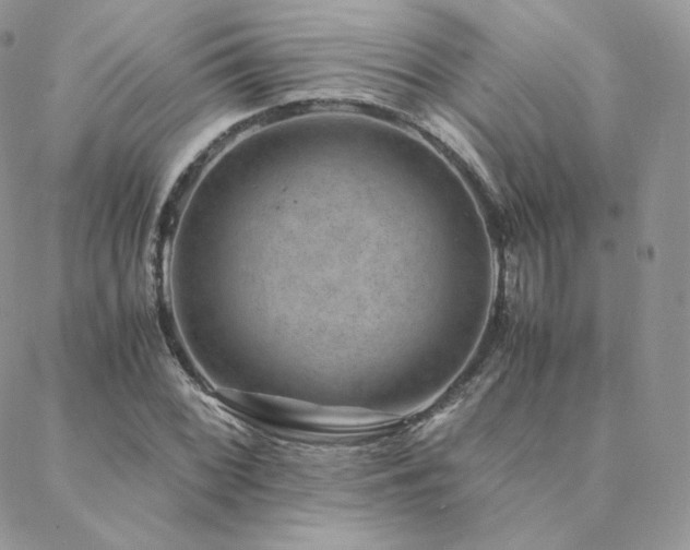 X0000088441068200705221306