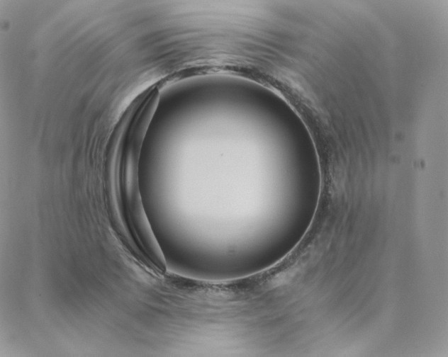 X0000088441073200705221306