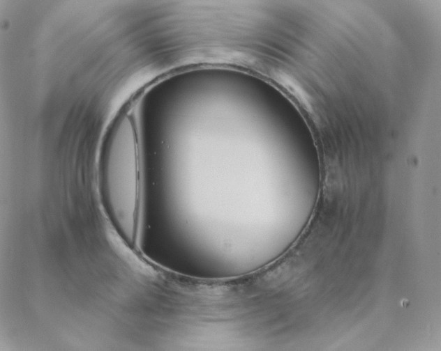 X0000088441080200705221306