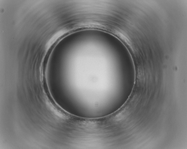 X0000088441082200705221306