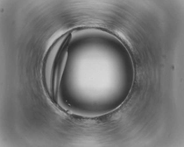 X0000088441085200705221306