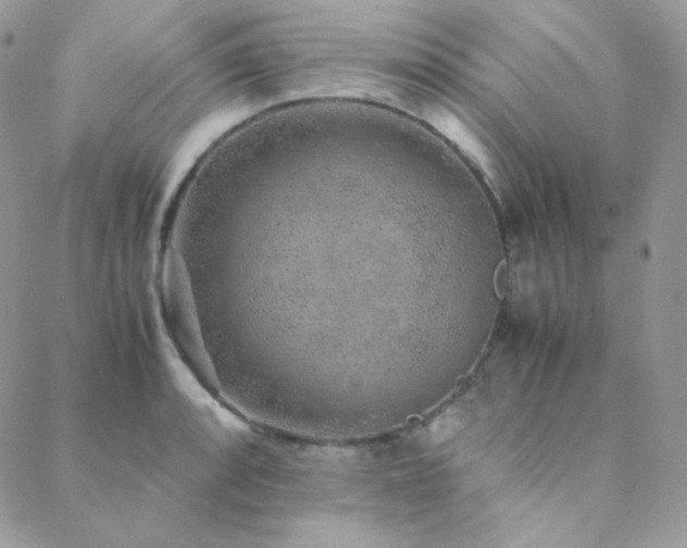 X0000088441088200705221306