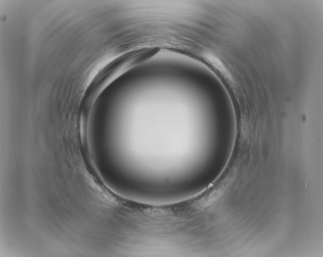 X0000088441089200705221306