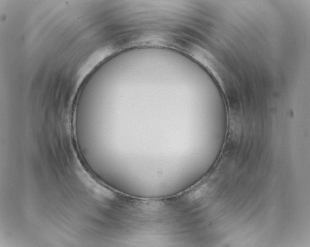 X0000088441090200705221306