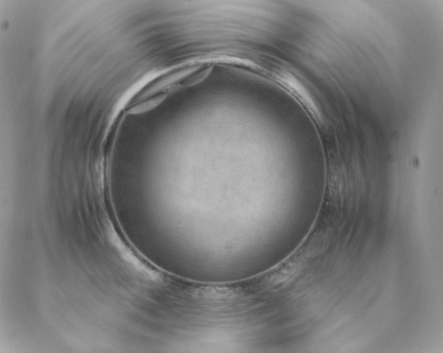 X0000088441092200705221306
