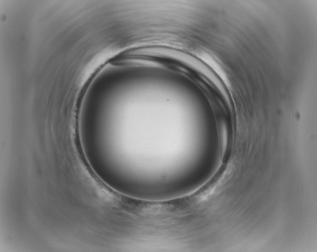 X0000088441093200705221306