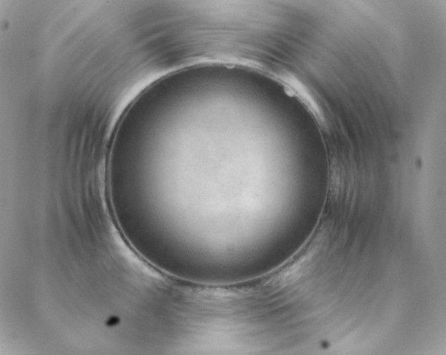 X0000088441100200705221306