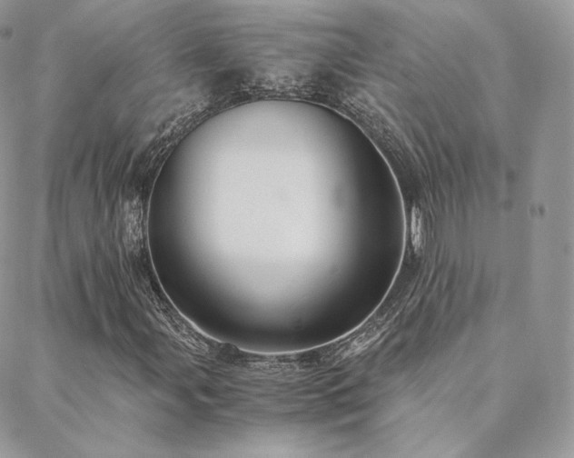 X0000088441107200705221305