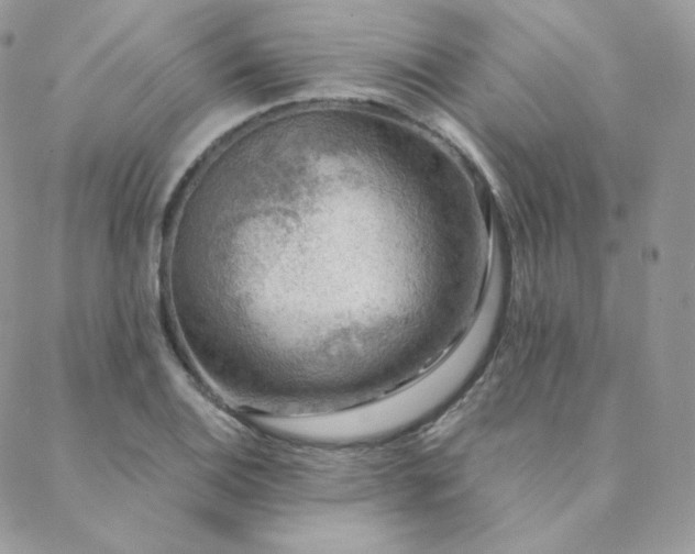 X0000088441124200705221305