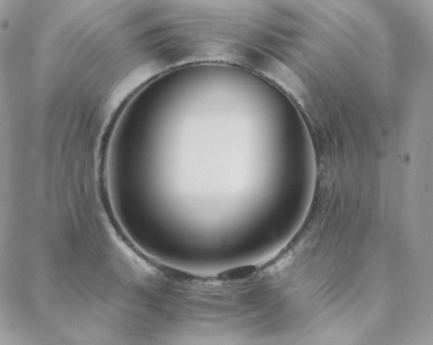 X0000088441135200705221306