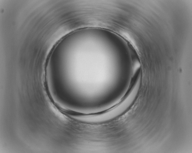 X0000088441136200705221306