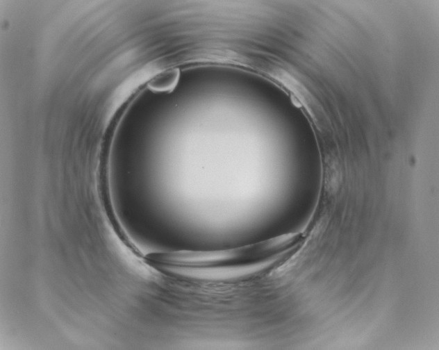 X0000088441139200705221306